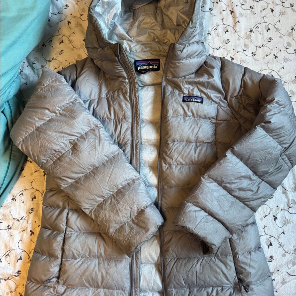 Patagonia Silver Hooded Puffer Jacket